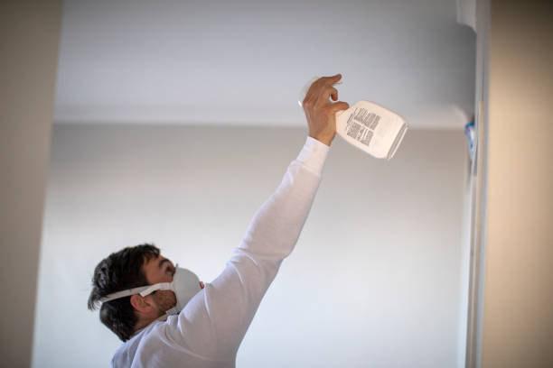 Best Water Damage Restoration  in Charlotte Harbor, FL