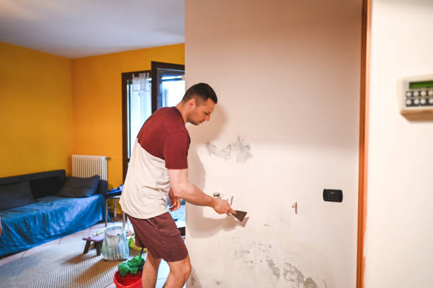 Best Attic Mold Removal  in Charlotte Harbor, FL